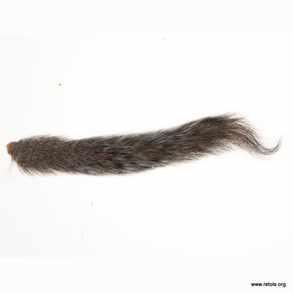 4726/1 single kitten tail natural