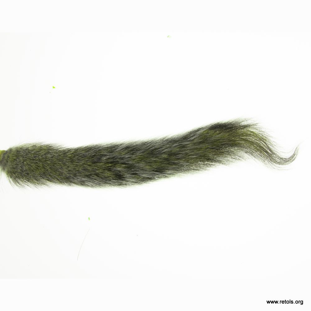 4726/9 single kitten tail - oliv