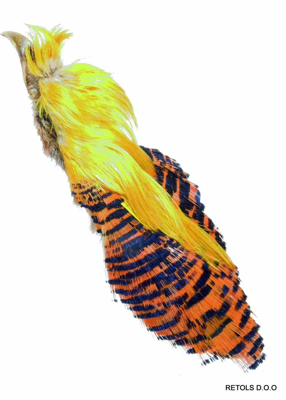 4626 Ogrlica zlatnog fazana